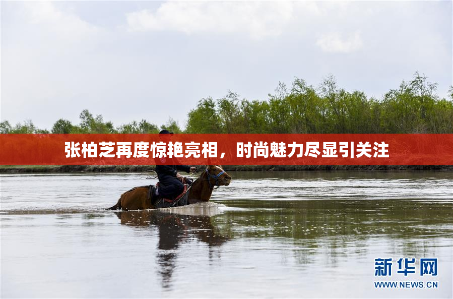 张柏芝再度惊艳亮相，时尚魅力尽显引关注