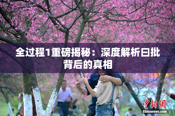 全过程1重磅揭秘：深度解析曰批背后的真相