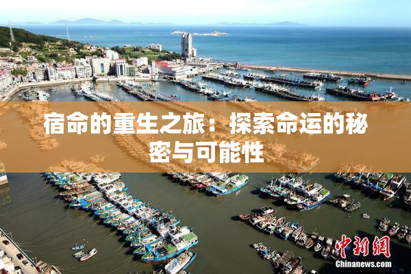 宿命的重生之旅：探索命运的秘密与可能性