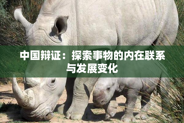 中国辩证：探索事物的内在联系与发展变化