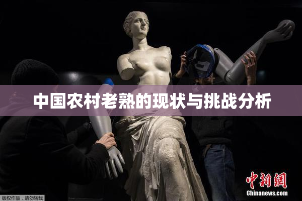 中国农村老熟的现状与挑战分析
