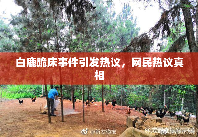 白鹿跪床事件引发热议，网民热议真相