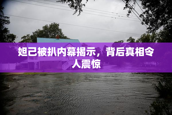 妲己被扒内幕揭示，背后真相令人震惊