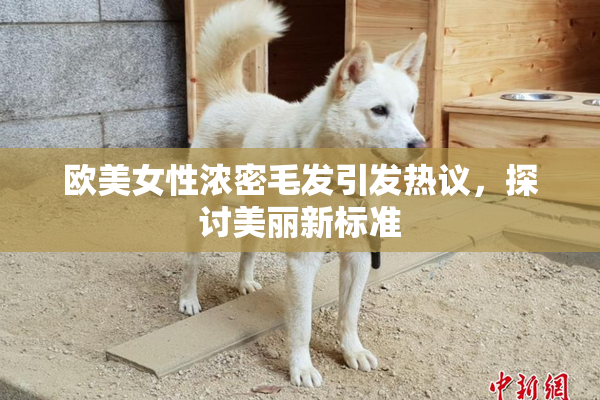 欧美女性浓密毛发引发热议，探讨美丽新标准