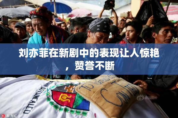 刘亦菲在新剧中的表现让人惊艳，赞誉不断