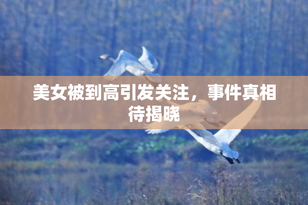 美女被到高引发关注，事件真相待揭晓
