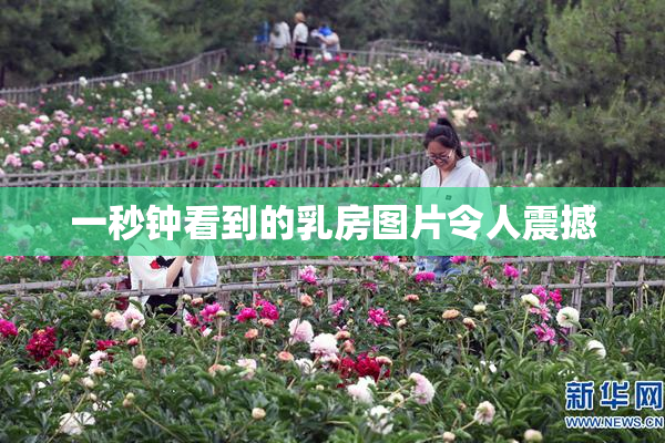 一秒钟看到的乳房图片令人震撼