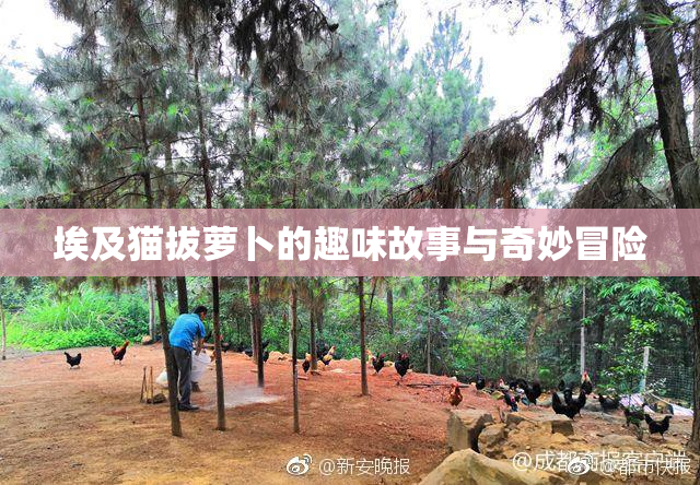 埃及猫拔萝卜的趣味故事与奇妙冒险