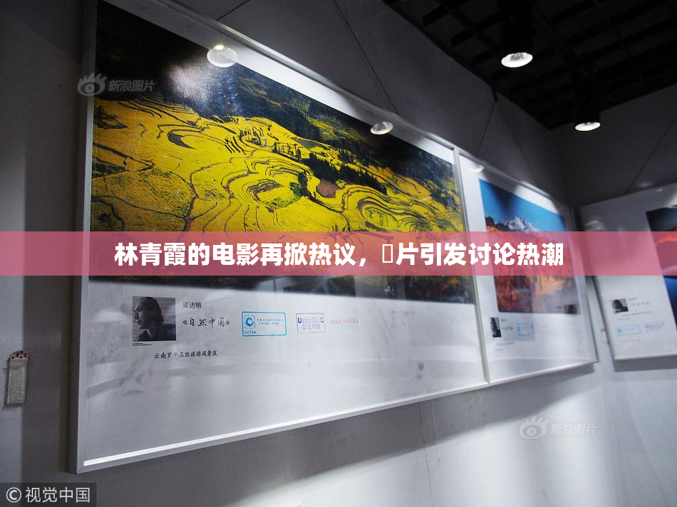 林青霞的电影再掀热议，婬片引发讨论热潮