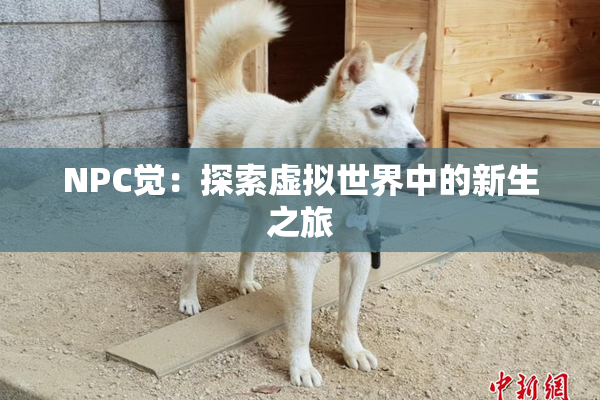 NPC觉：探索虚拟世界中的新生之旅