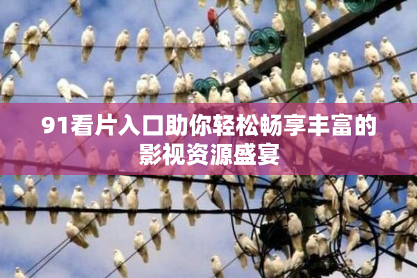 91看片入口助你轻松畅享丰富的影视资源盛宴