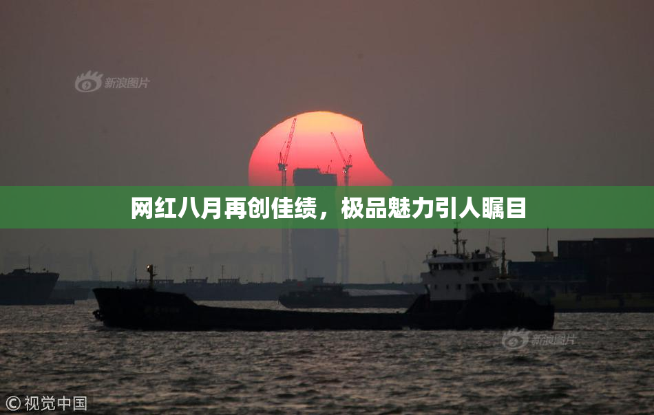 网红八月再创佳绩，极品魅力引人瞩目