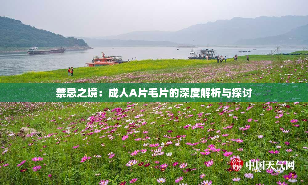 禁忌之境：成人A片毛片的深度解析与探讨