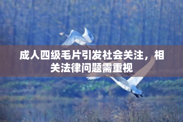 成人四级毛片引发社会关注，相关法律问题需重视