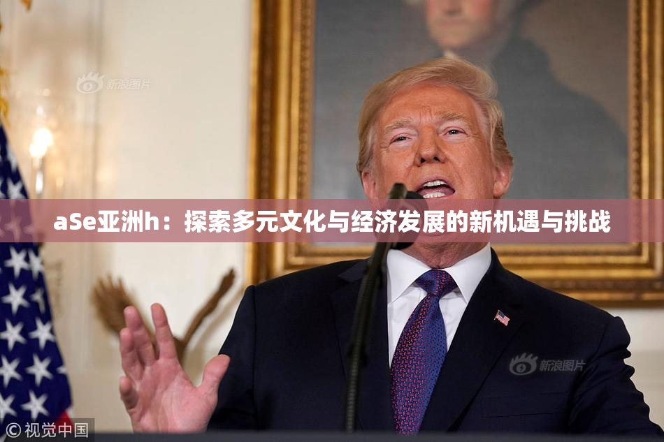 aSe亚洲h：探索多元文化与经济发展的新机遇与挑战