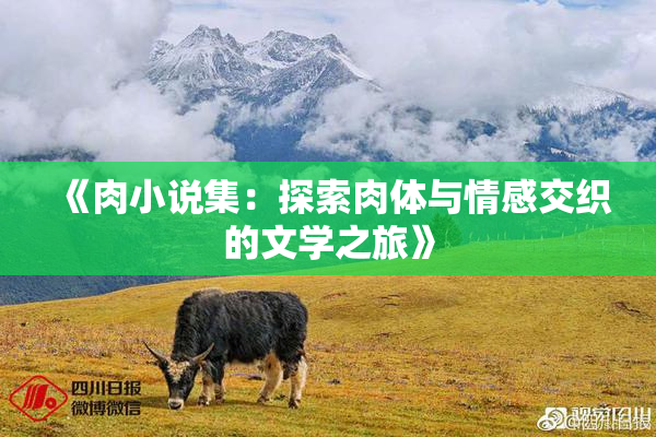 《肉小说集：探索肉体与情感交织的文学之旅》