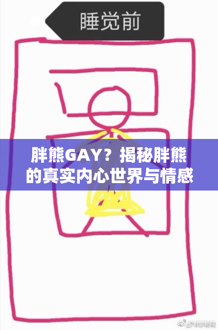 胖熊GAY？揭秘胖熊的真实内心世界与情感生活
