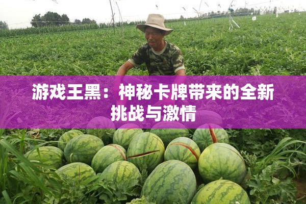 游戏王黑：神秘卡牌带来的全新挑战与激情