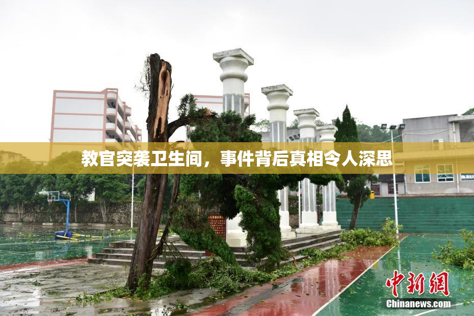 教官突袭卫生间，事件背后真相令人深思