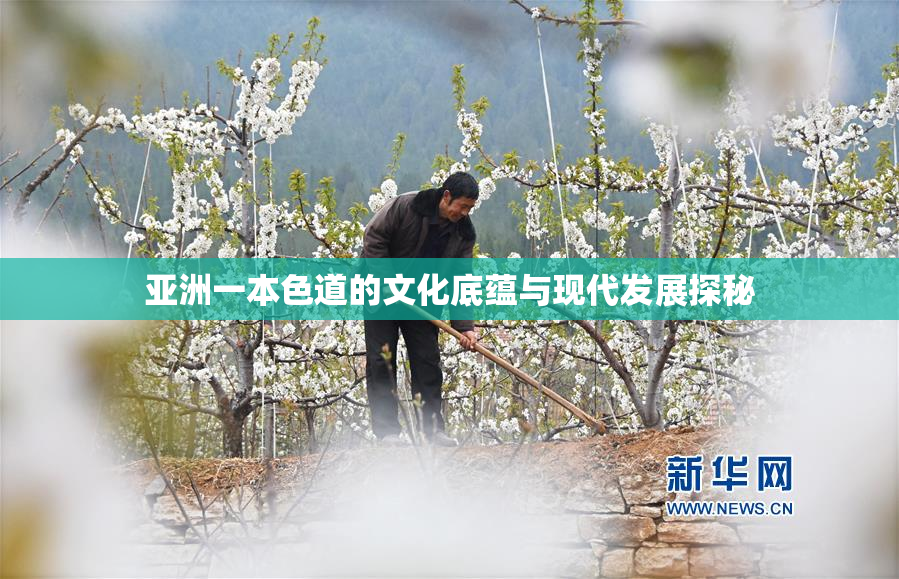 亚洲一本色道的文化底蕴与现代发展探秘