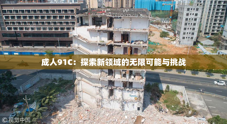 成人91C：探索新领域的无限可能与挑战