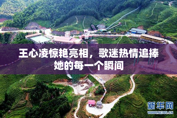 王心凌惊艳亮相，歌迷热情追捧她的每一个瞬间