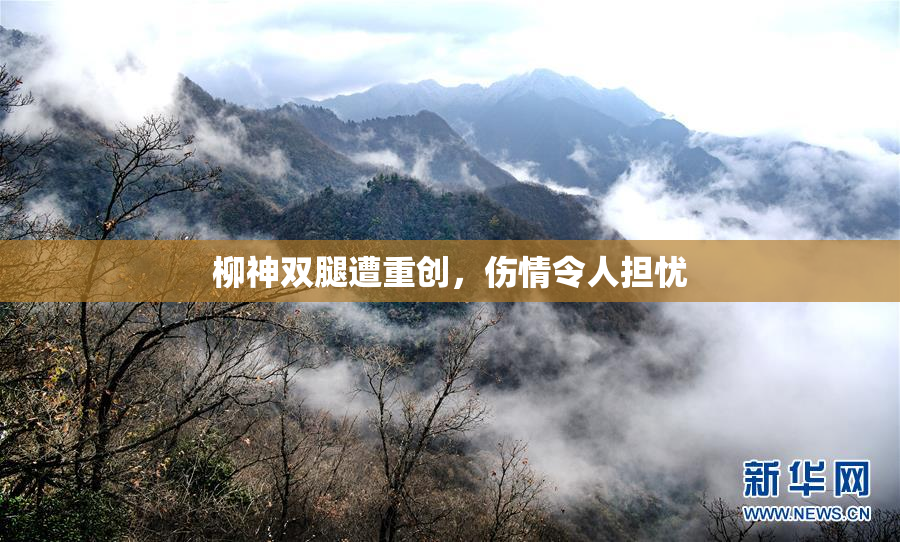 柳神双腿遭重创，伤情令人担忧