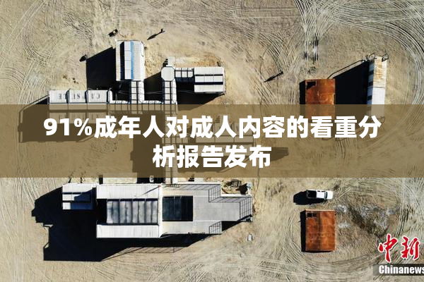 91%成年人对成人内容的看重分析报告发布