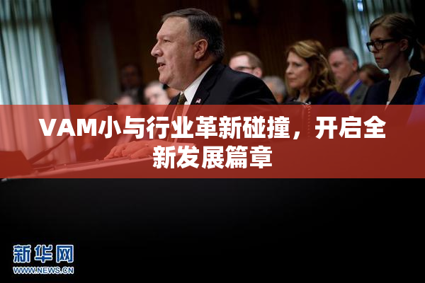 VAM小与行业革新碰撞，开启全新发展篇章