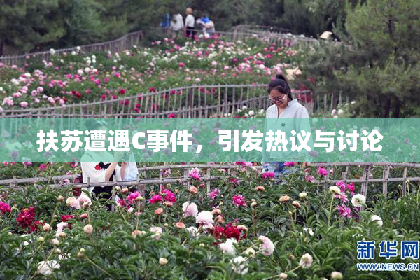 扶苏遭遇C事件，引发热议与讨论