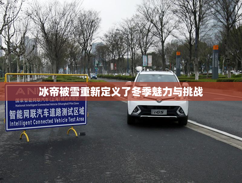 冰帝被雪重新定义了冬季魅力与挑战