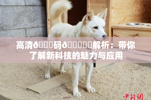 高清🈚码🔞❌‌解析：带你了解新科技的魅力与应用