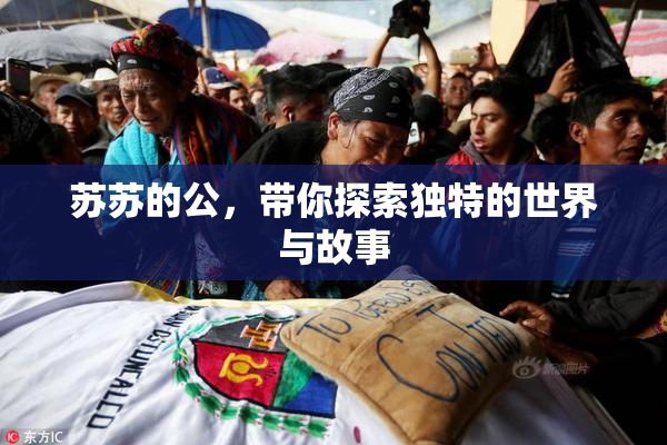 苏苏的公，带你探索独特的世界与故事