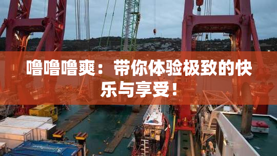 噜噜噜爽：带你体验极致的快乐与享受！