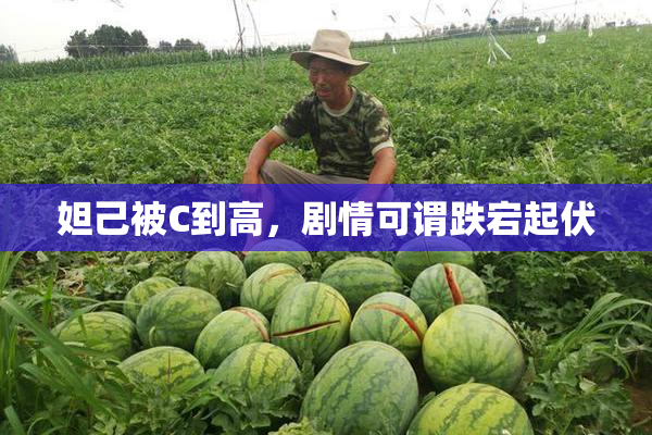 妲己被C到高，剧情可谓跌宕起伏