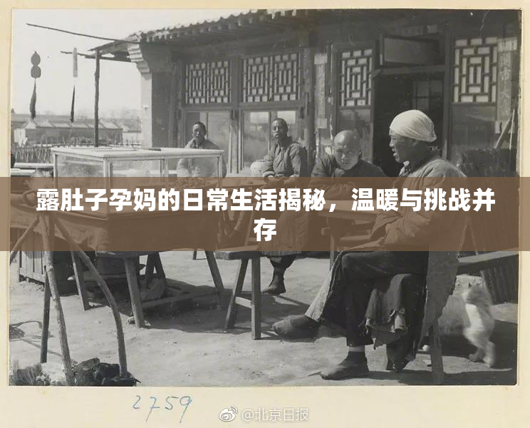 露肚子孕妈的日常生活揭秘，温暖与挑战并存