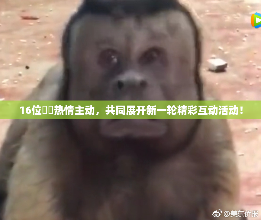 16位妺妺热情主动，共同展开新一轮精彩互动活动！