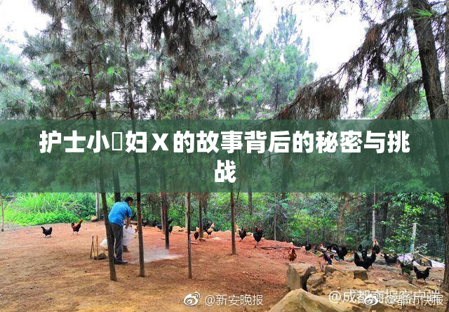 护士小婬妇Ⅹ的故事背后的秘密与挑战