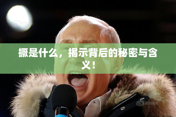撅是什么，揭示背后的秘密与含义！