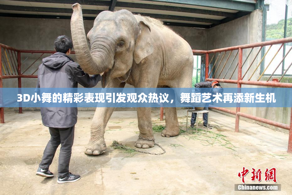 3D小舞的精彩表现引发观众热议，舞蹈艺术再添新生机