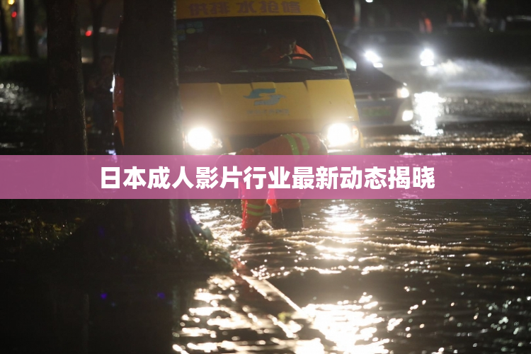 日本成人影片行业最新动态揭晓