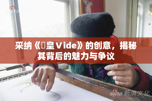 采纳《嘼皇Ⅴide》的创意，揭秘其背后的魅力与争议