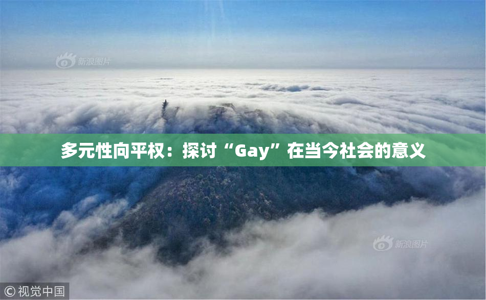 多元性向平权：探讨“Gay”在当今社会的意义