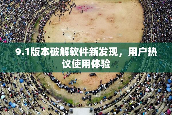 9.1版本破解软件新发现，用户热议使用体验