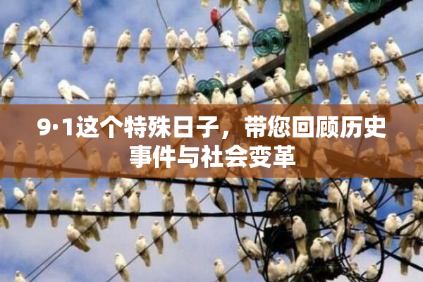 9·1这个特殊日子，带您回顾历史事件与社会变革