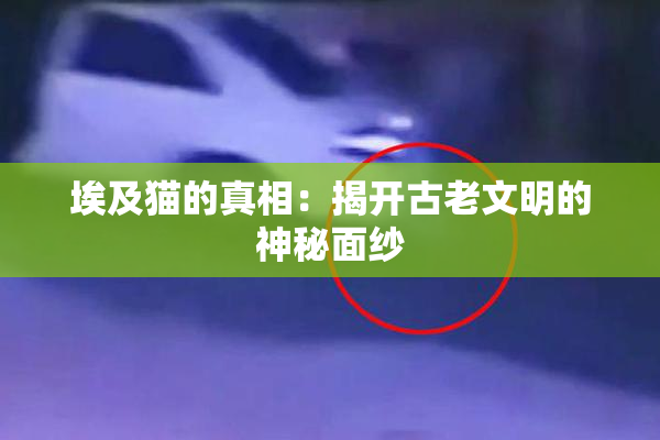 埃及猫的真相：揭开古老文明的神秘面纱