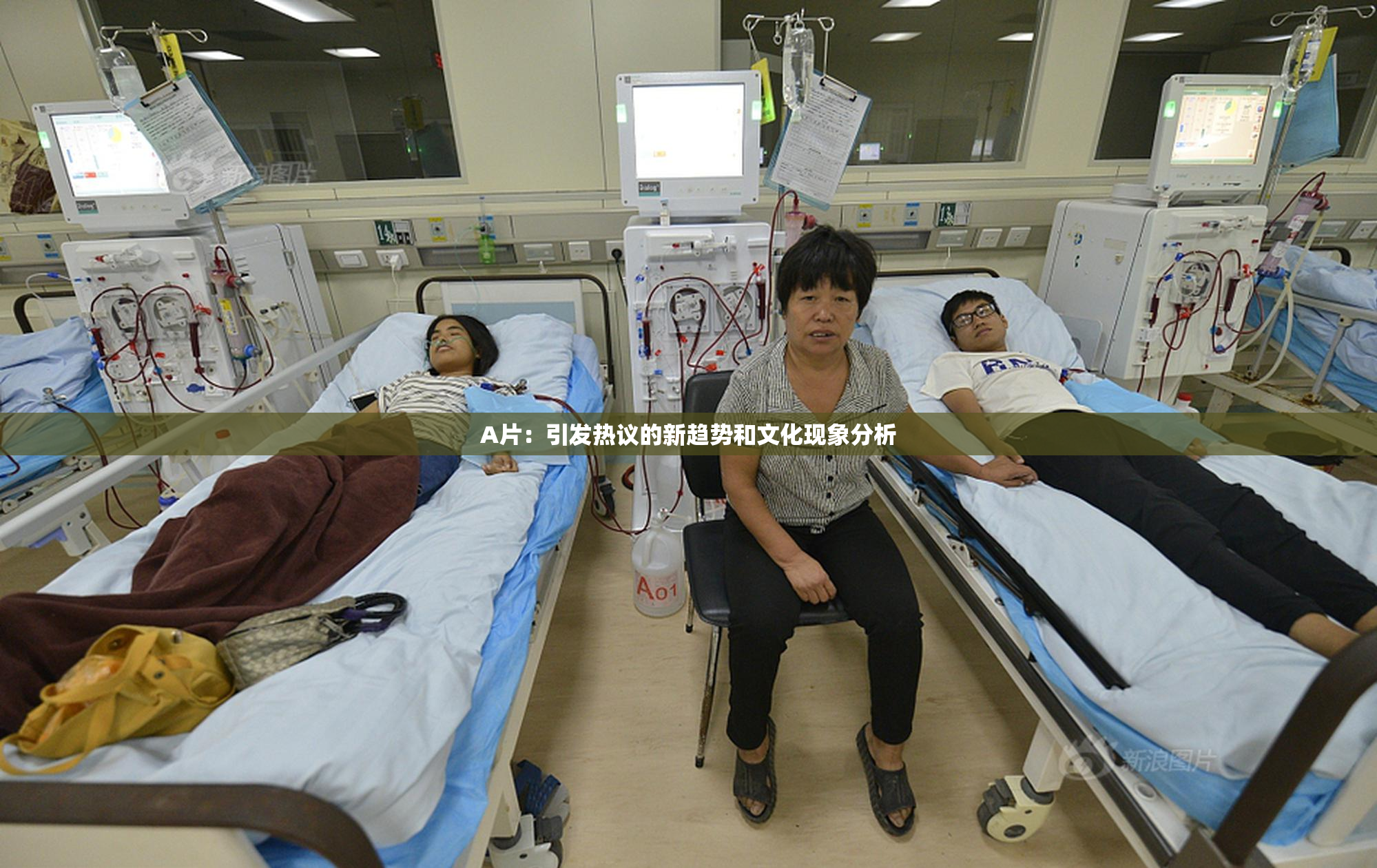 A片：引发热议的新趋势和文化现象分析