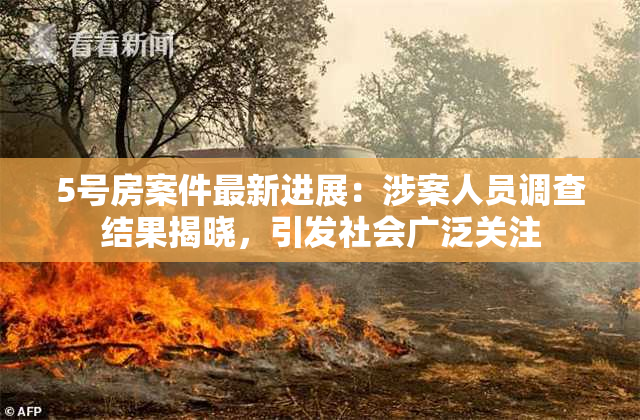 5号房案件最新进展：涉案人员调查结果揭晓，引发社会广泛关注