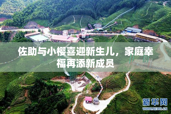 佐助与小樱喜迎新生儿，家庭幸福再添新成员