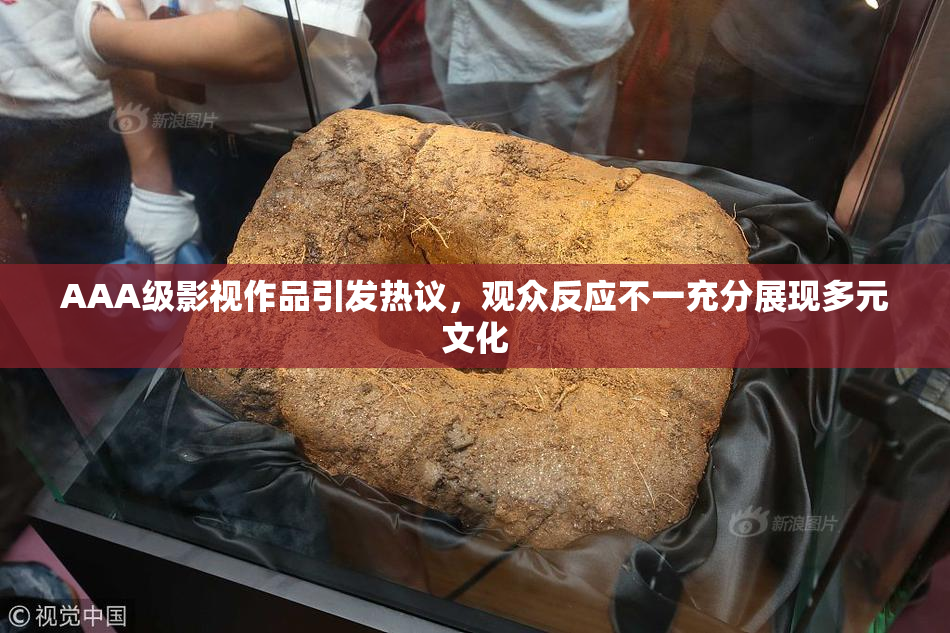 AAA级影视作品引发热议，观众反应不一充分展现多元文化